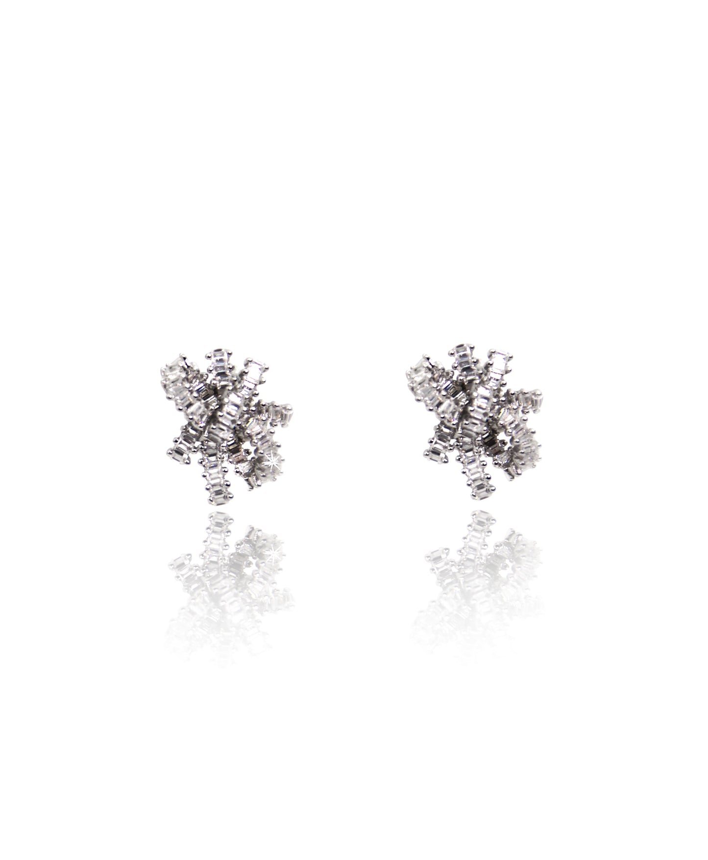 Ritzy Silver Earrings