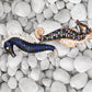 Monogamy Blue Silver Necklace